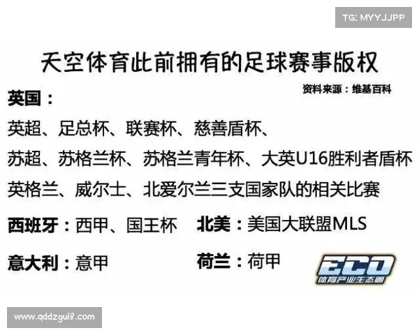 《以CSL为核心探讨中国足球职业联赛的发展与未来趋势》 《以CSL为核心探讨中国足球职业联赛的发展与未来趋势》